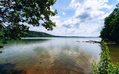 SPotocki_StaraHancza Średni